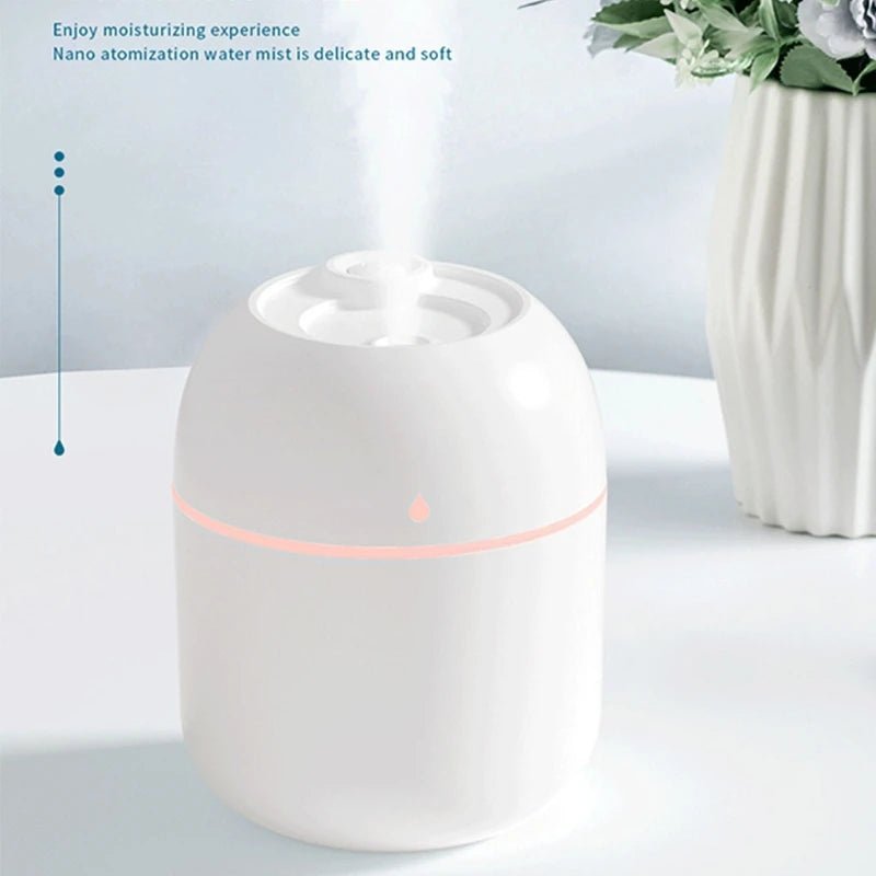 Portable 220ml H2o Mini Cup Sprayer Mist humidifier Double Wet Aroma Essential Oil Diffuser Car usb air humidifier