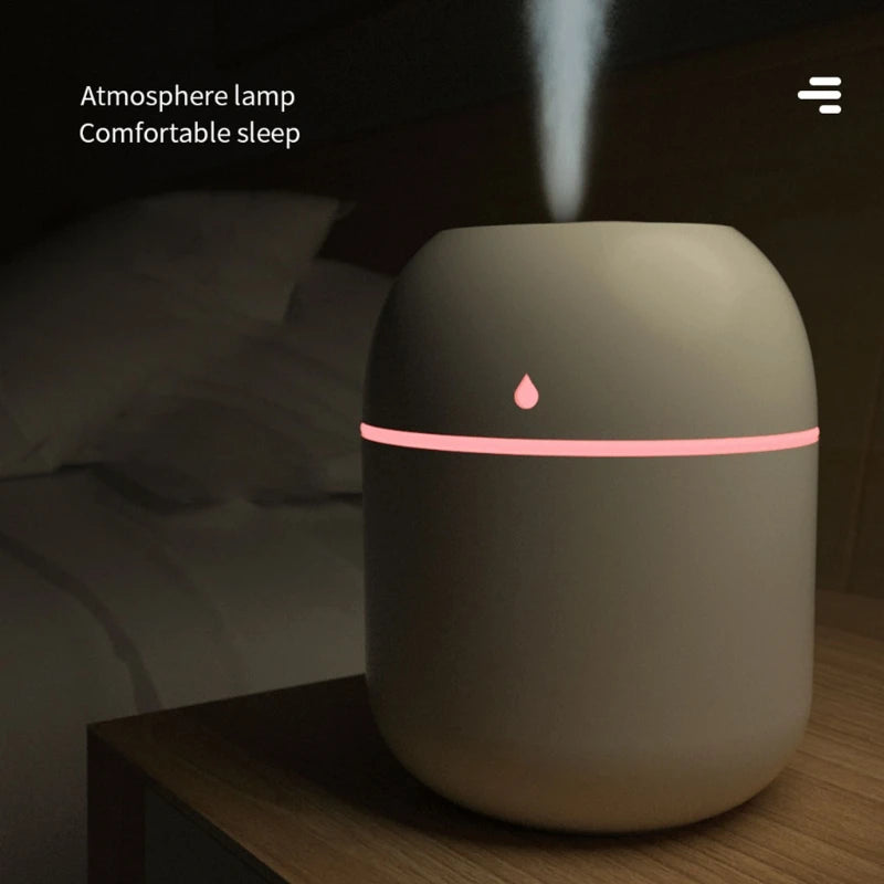 Portable 220ml H2o Mini Cup Sprayer Mist humidifier Double Wet Aroma Essential Oil Diffuser Car usb air humidifier